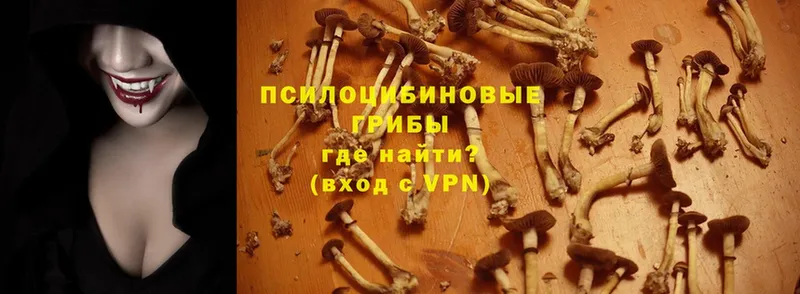 Галлюциногенные грибы Magic Shrooms  что такое наркотик  Кондопога 